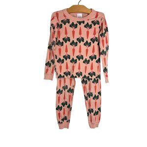 Hanna Andersson Kids Organic Cotton Pajama Set Carrot Print Size 120 US 6-7